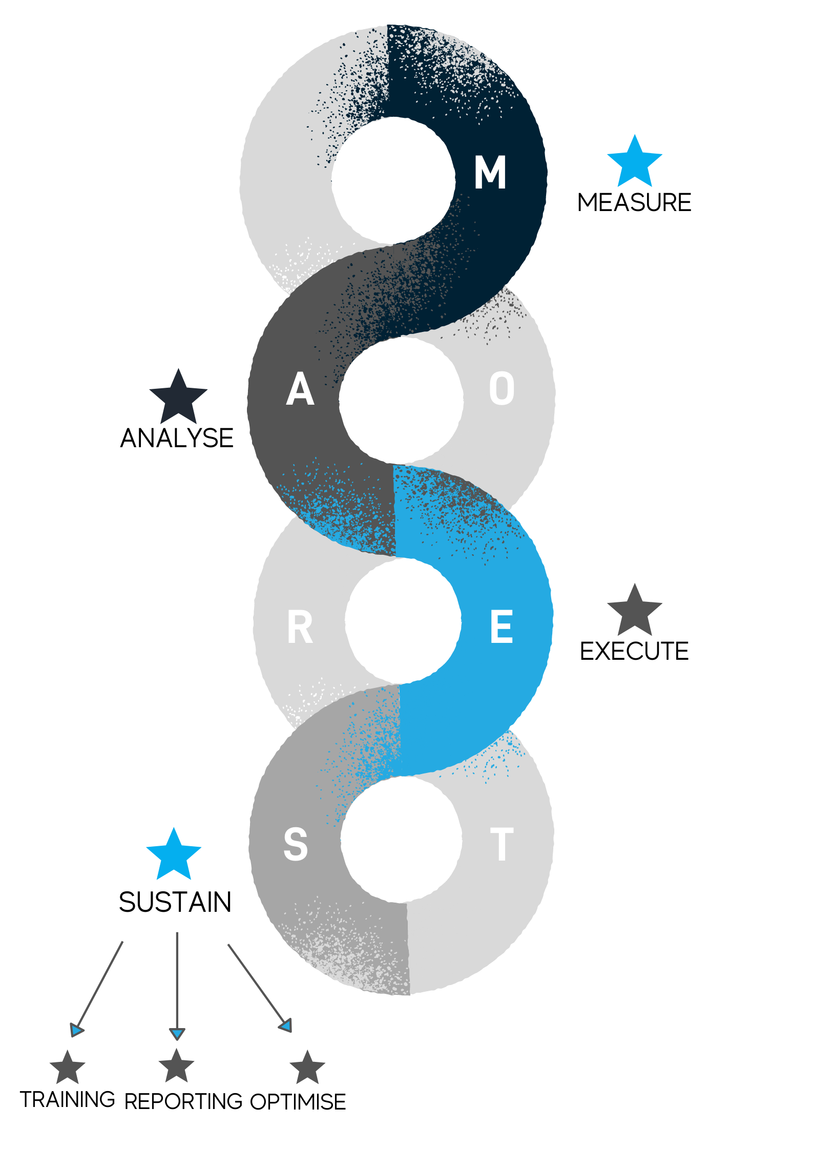 MAESTRO - New Design Vertical - Transparent Background (1)